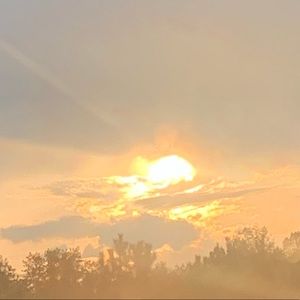 Meet your Posher, Jazelle